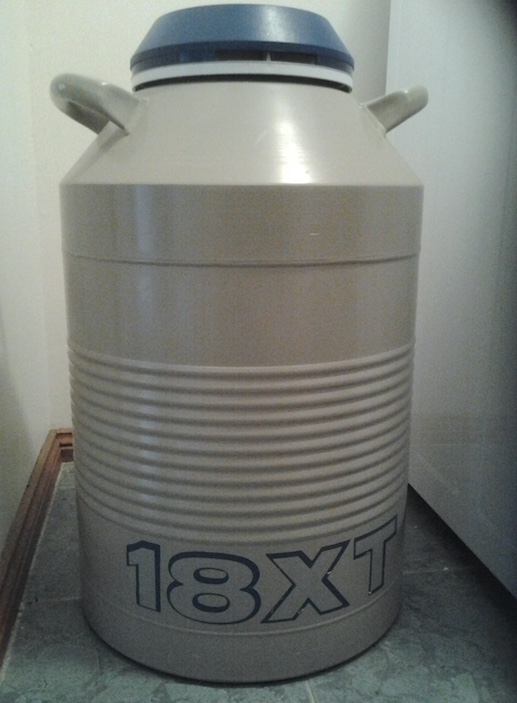 AI Tank with 300+ straws of ANGUS Bull Semen Livestock Equipment